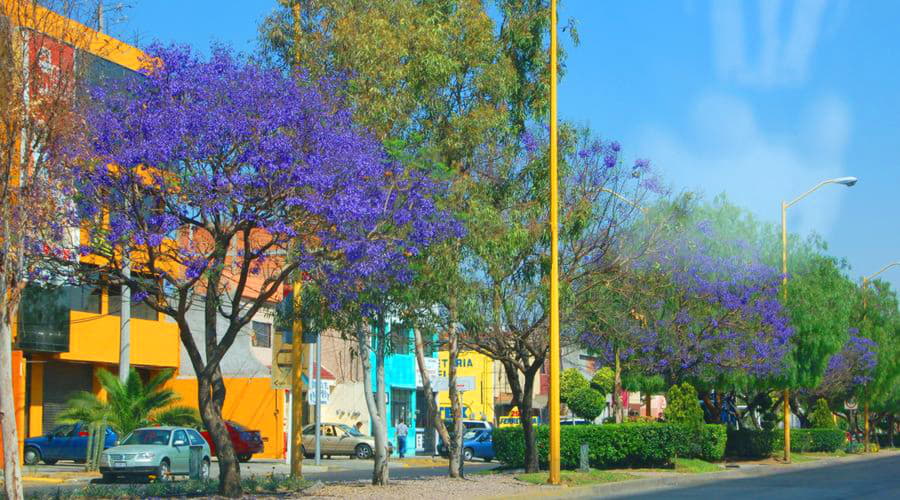 Location de Voitures Aguascalientes (Mexique)