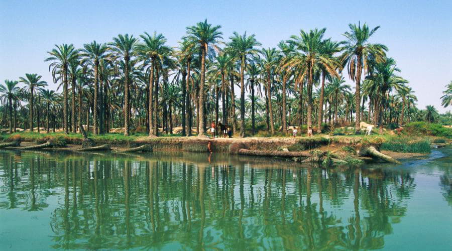 Autovermietung in Flughafen Basra