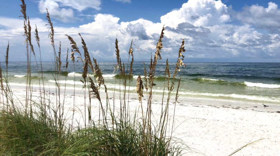 Bilhyra i Bradenton Beach