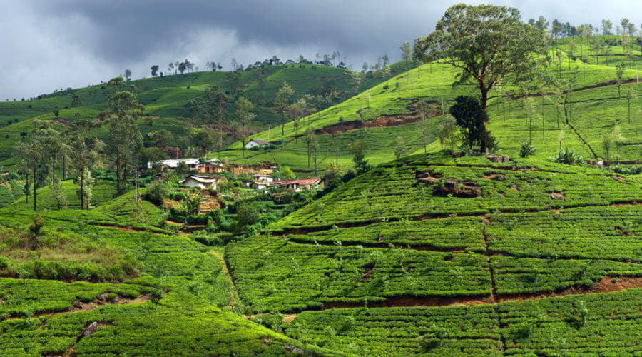 Mietwagen in Hatton (Sri Lanka)