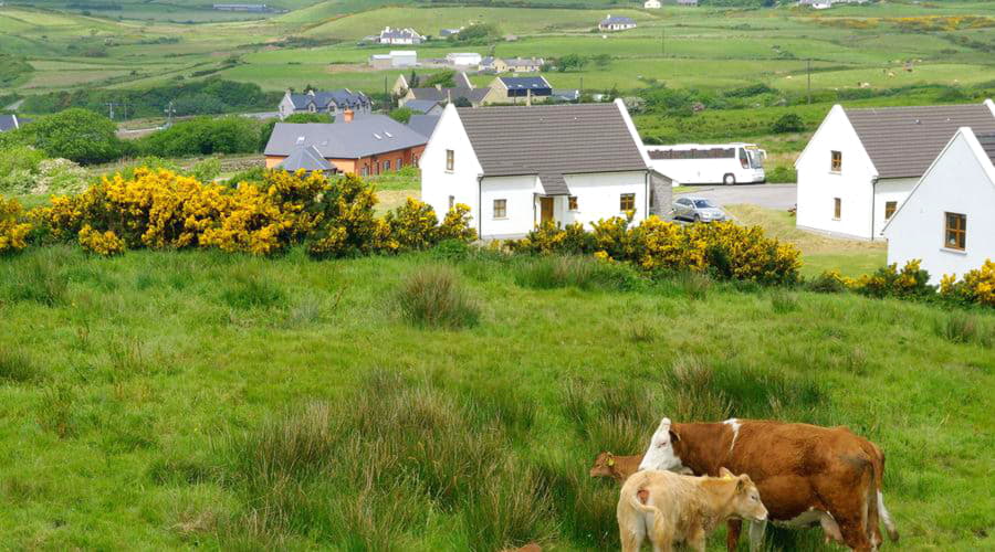 Limerick (İrlanda) - En İyi Araç Kiralama Teklifleri