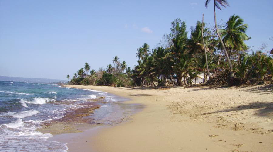 Car Rental in Mayagüez