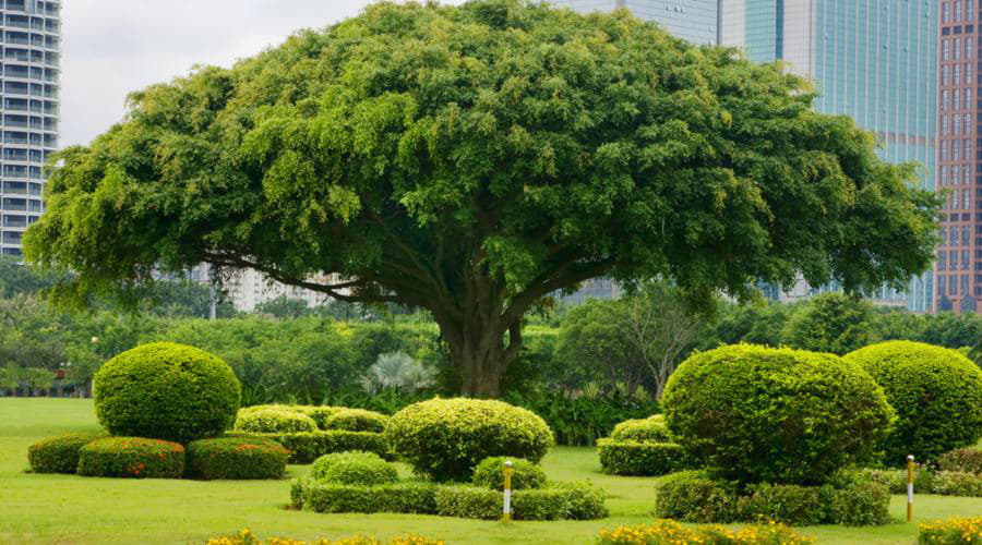 Aluguer de Carro na cidade de Tangerang