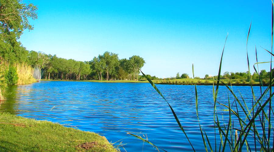 Tani Wynajem Samochodów w Normanie