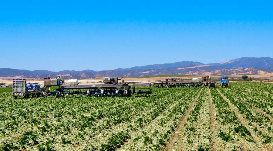 Salinas (stati Uniti) - Le Migliori Offerte di Noleggio Auto