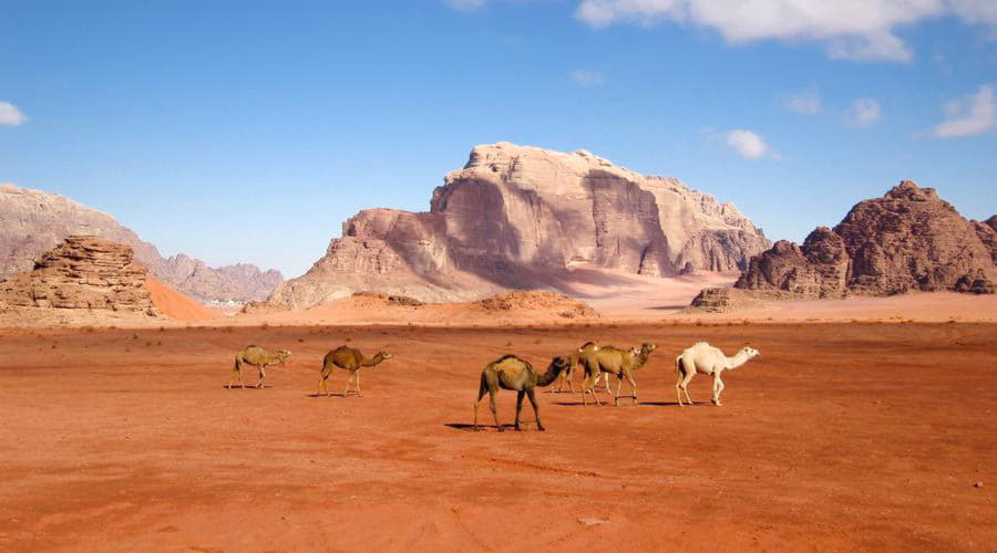 Wadi Rum